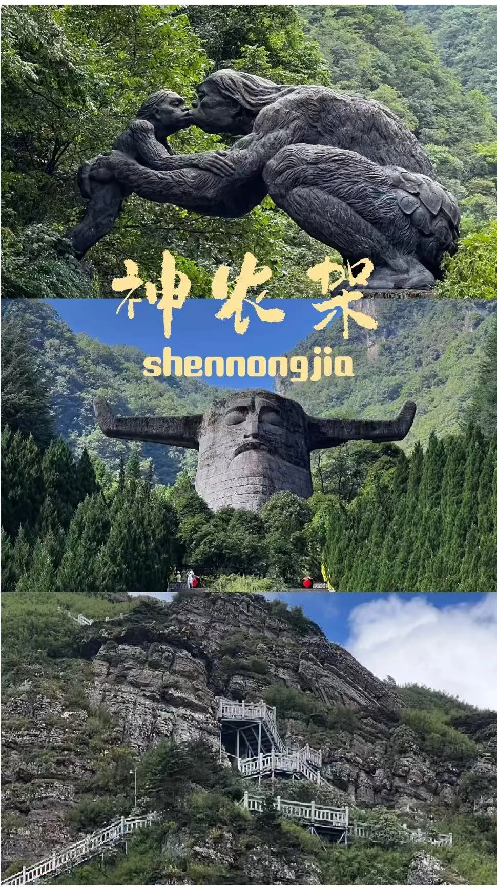 1da01de60ea18a2b6407db1e3511e694-sz_456454