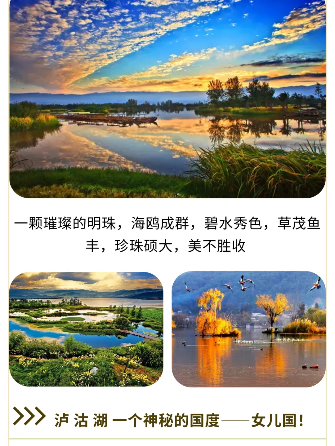 2ff8a5600e83c9975deac808f5daaa16-sz_672972 2ff8a5600e83c9975deac808f5daaa16-sz_672972