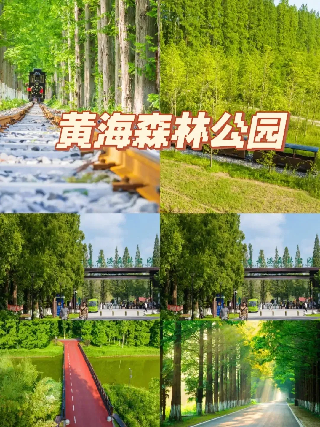 396784c971f8c2c4ffea03fb1c8e0e53-sz_492233 396784c971f8c2c4ffea03fb1c8e0e53-sz_492233