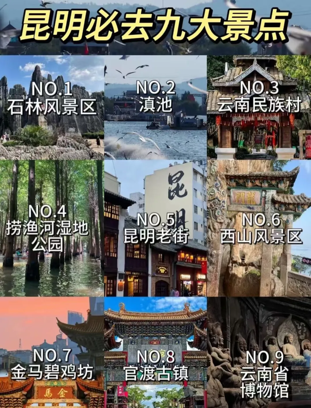 3e219207c8651c61eacc4a8a4656e1a2-sz_4519602 3e219207c8651c61eacc4a8a4656e1a2-sz_4519602