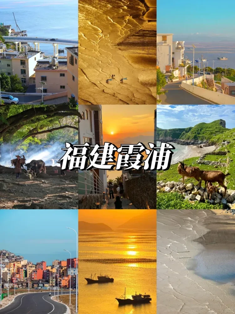3e6b26bd0306ee23691944f6a081f434-sz_3149228 3e6b26bd0306ee23691944f6a081f434-sz_3149228