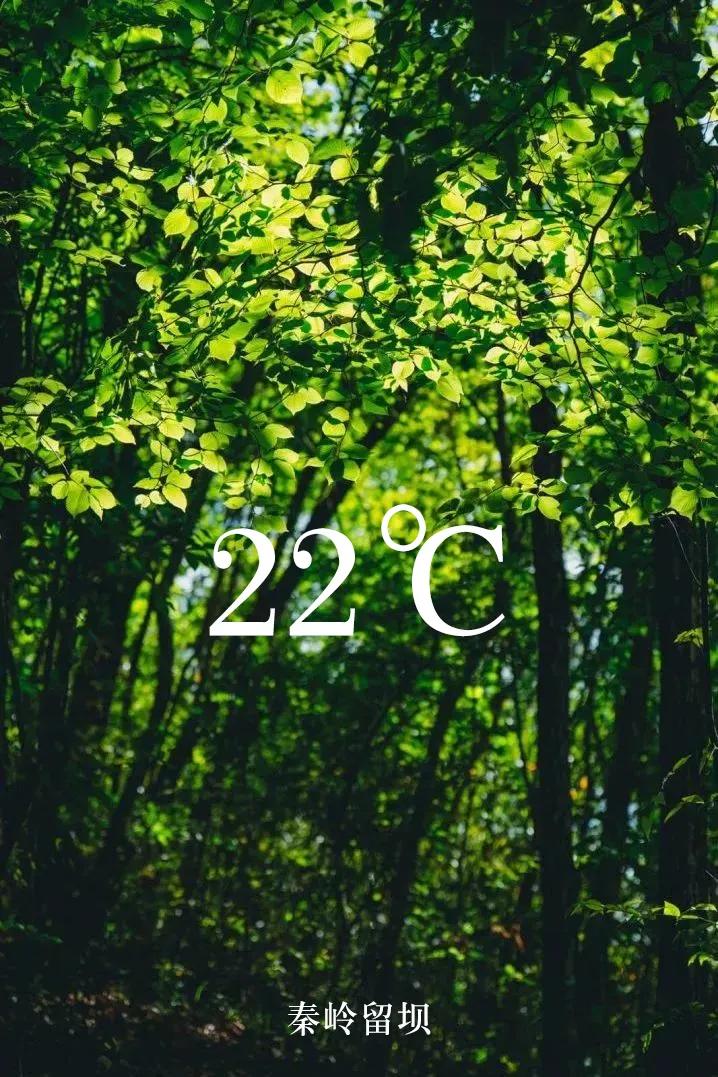 3f49c4bded107079ecefe3ecb9a67d6d-sz_741021 3f49c4bded107079ecefe3ecb9a67d6d-sz_741021