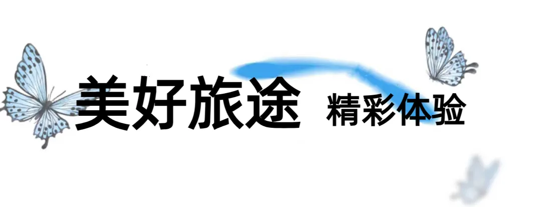 471c9af5c066f257a6d383e8fb7760e8-sz_114501 471c9af5c066f257a6d383e8fb7760e8-sz_114501