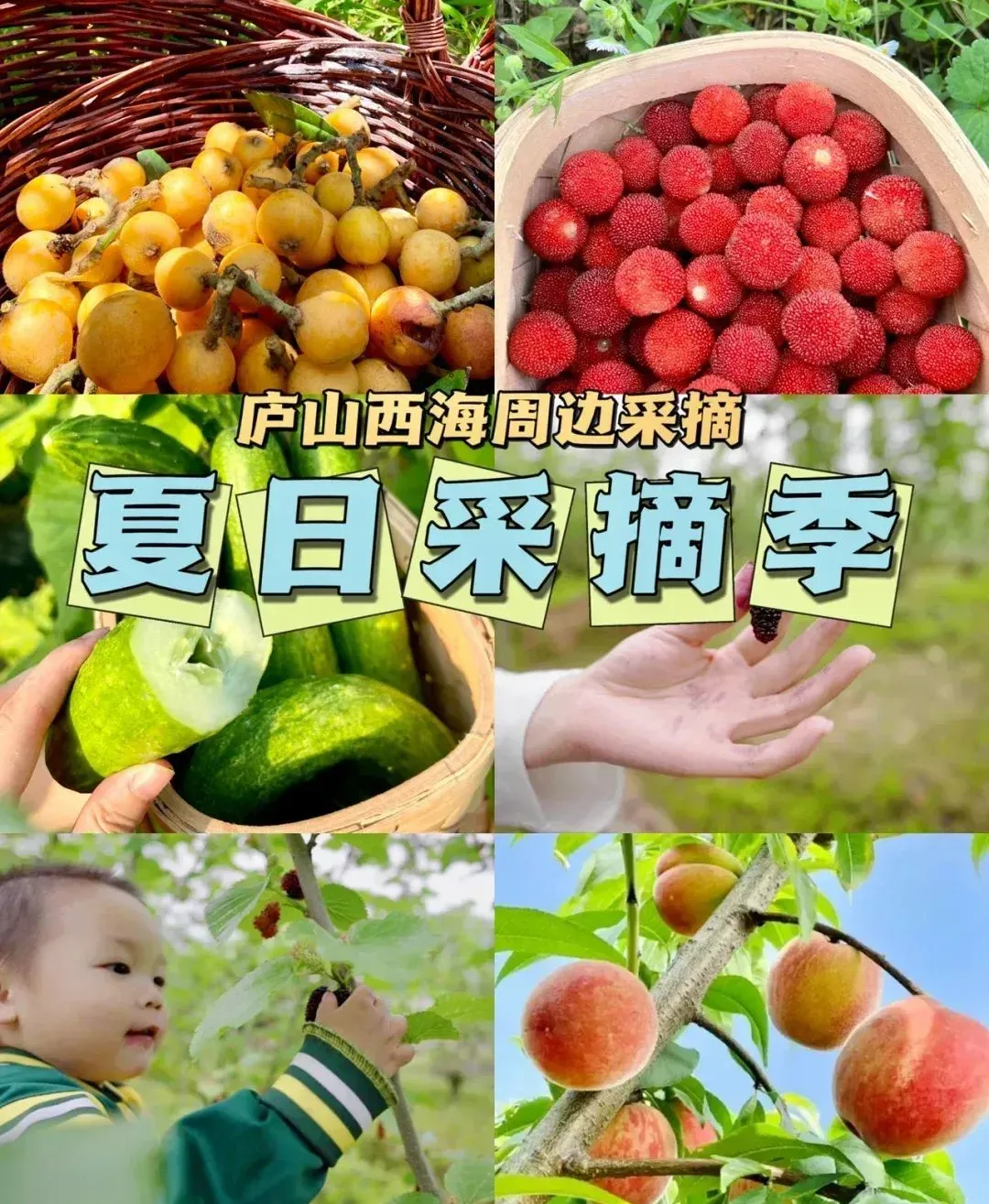 55980bf0df4bd3de85772192423ce631-sz_318052 55980bf0df4bd3de85772192423ce631-sz_318052