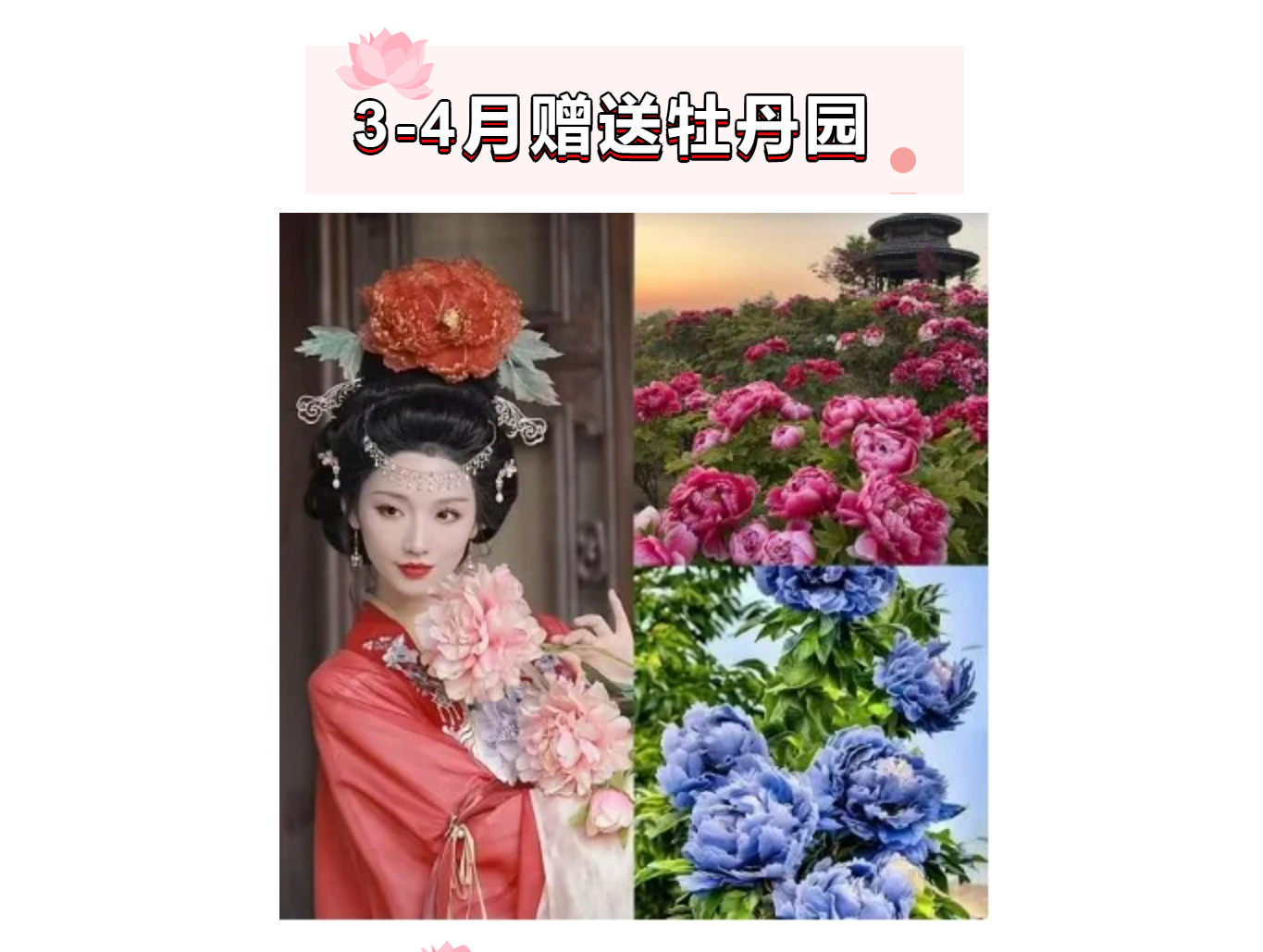 5b91532431c3b9bf93126c45bf65f929