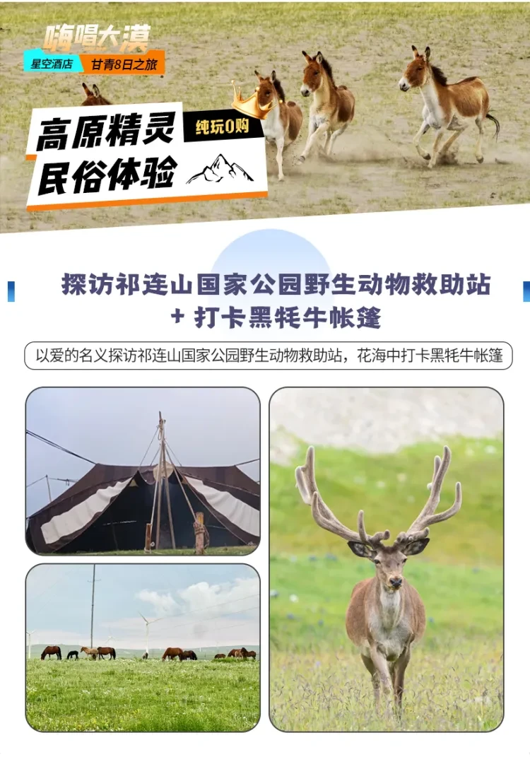 5ea9808f39f90428718d013960e31d79-sz_1161350