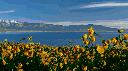 62eebabc3105ec4e0d7f51f3c8f0ade2-sz_773718 62eebabc3105ec4e0d7f51f3c8f0ade2-sz_773718