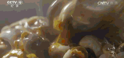 640-413 640-413