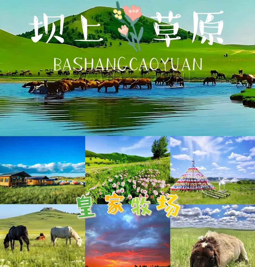 6a8d502ad5a9ebe8ab58fe2946d6b756-sz_3235898 6a8d502ad5a9ebe8ab58fe2946d6b756-sz_3235898