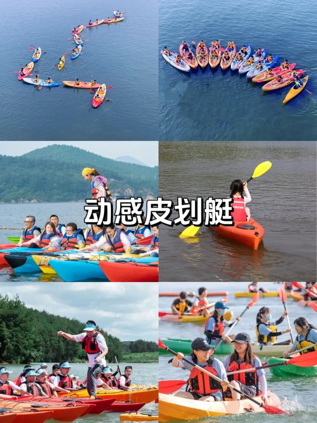 6b9c60781015cff903cb629415b4959a-sz_2008381-2 6b9c60781015cff903cb629415b4959a-sz_2008381-2