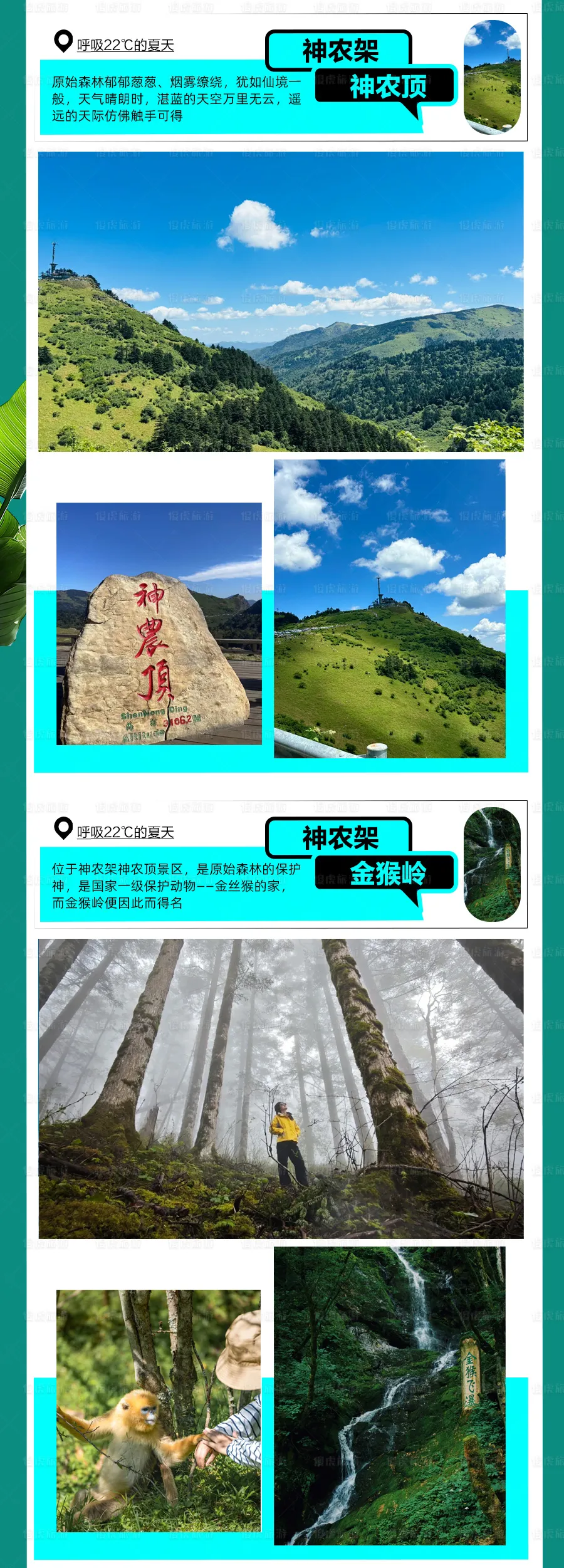 6cad8638ac0c6b955917f1b68e1250ec-sz_958055