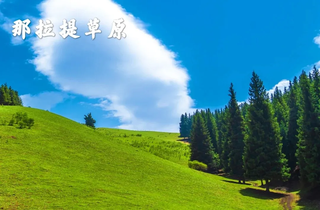 7b1fb7ee70f517c9c966822030c6a27e-sz_436030 7b1fb7ee70f517c9c966822030c6a27e-sz_436030