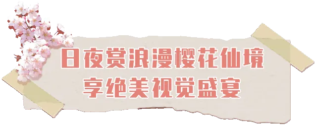 7c853913fe0b06039d1ff6c604bbcb53-sz_62344 7c853913fe0b06039d1ff6c604bbcb53-sz_62344