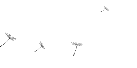 7cf32b826ab69f175d5d568537417a7d-sz_111642 7cf32b826ab69f175d5d568537417a7d-sz_111642