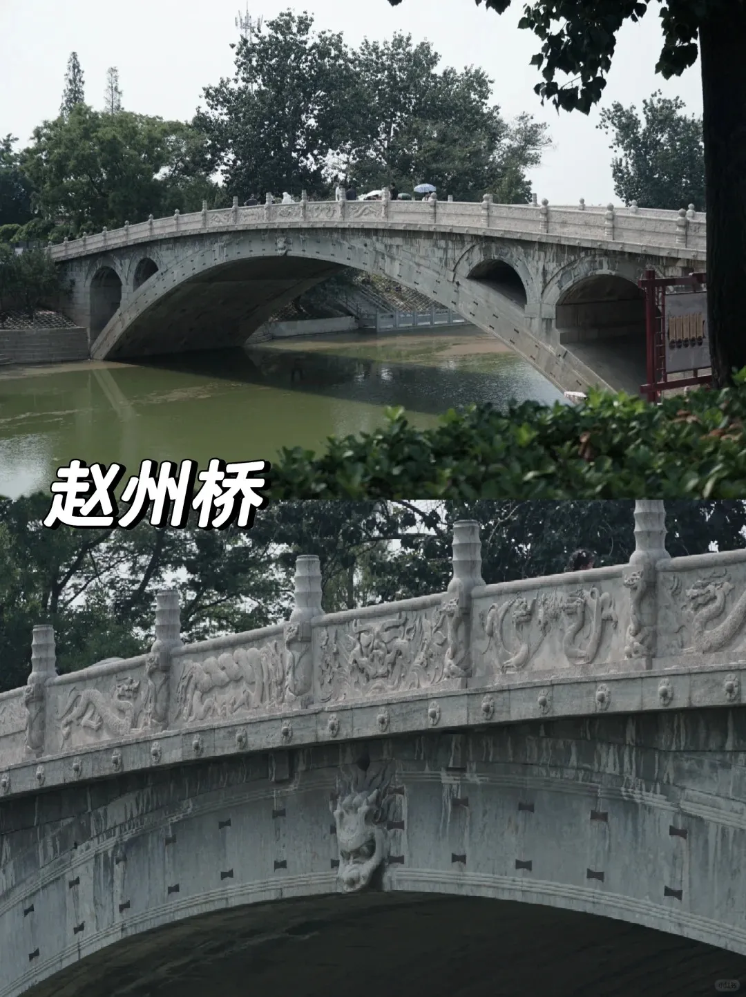 803d328951fa062654f6e3a444b7d0bc-sz_394741-1 803d328951fa062654f6e3a444b7d0bc-sz_394741-1