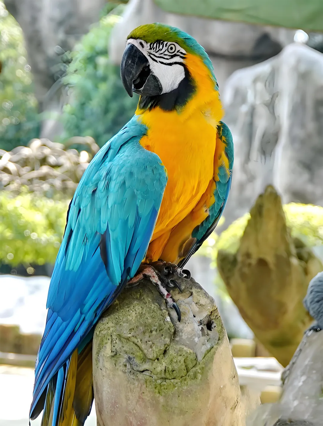87c210de43368aa5e89d3ce7acbde839-sz_3598784 87c210de43368aa5e89d3ce7acbde839-sz_3598784