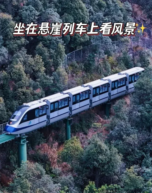 8f1ba6452c89922d0437cc0a387733d2-sz_1311084 8f1ba6452c89922d0437cc0a387733d2-sz_1311084