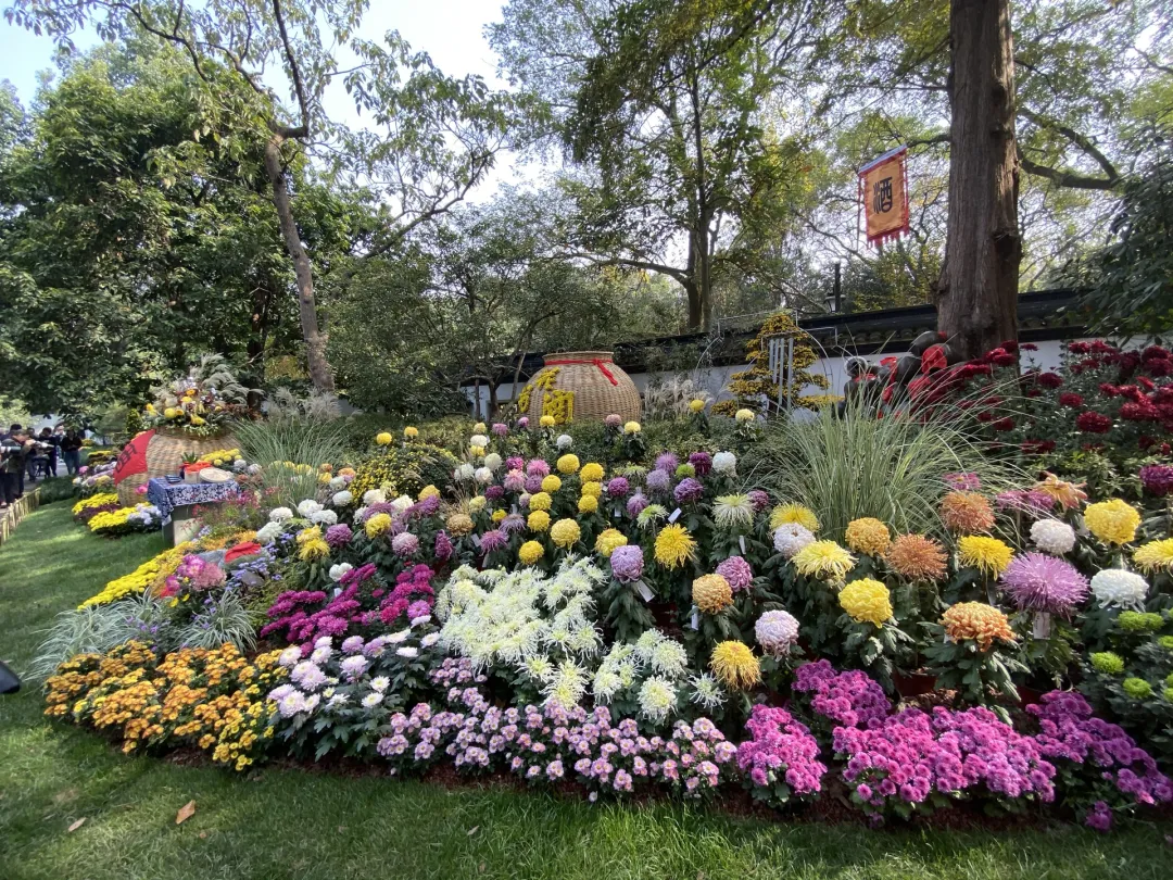 9e0629aca20b7f13c8abcadb1985e938-sz_1587461 9e0629aca20b7f13c8abcadb1985e938-sz_1587461