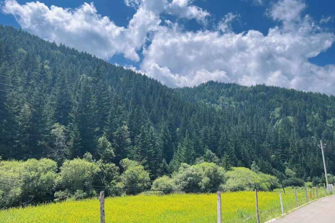 JsAYEZnRdldKHIvh JsAYEZnRdldKHIvh