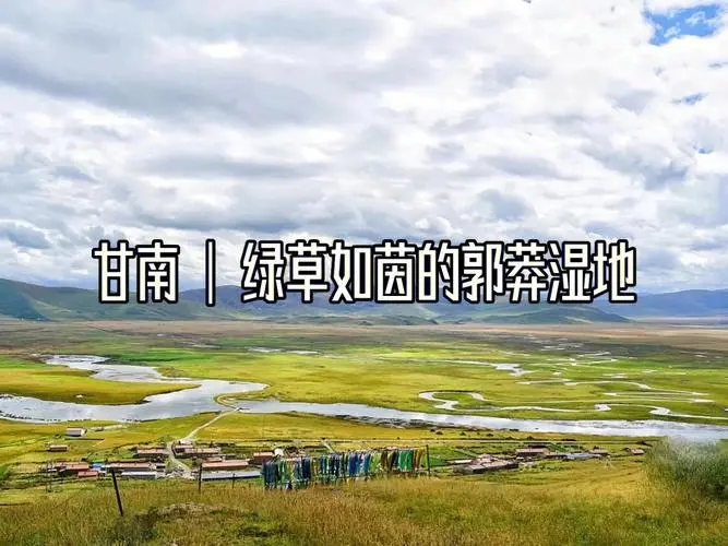 a2ddd933130fd8742fe831dc3bd87318-sz_63878 a2ddd933130fd8742fe831dc3bd87318-sz_63878