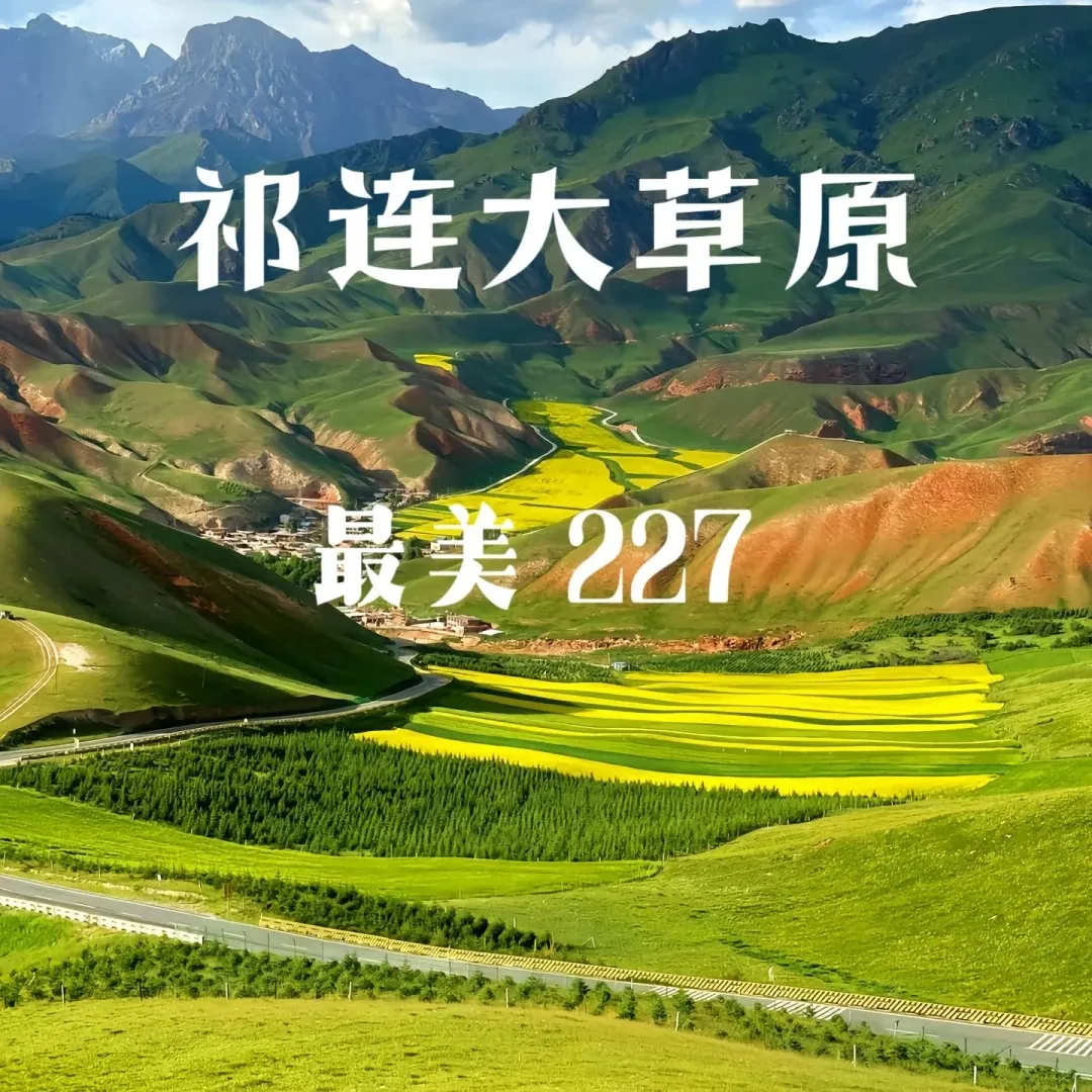 a304a84b254ff9c7c37db66e28374b1d-sz_488365 a304a84b254ff9c7c37db66e28374b1d-sz_488365