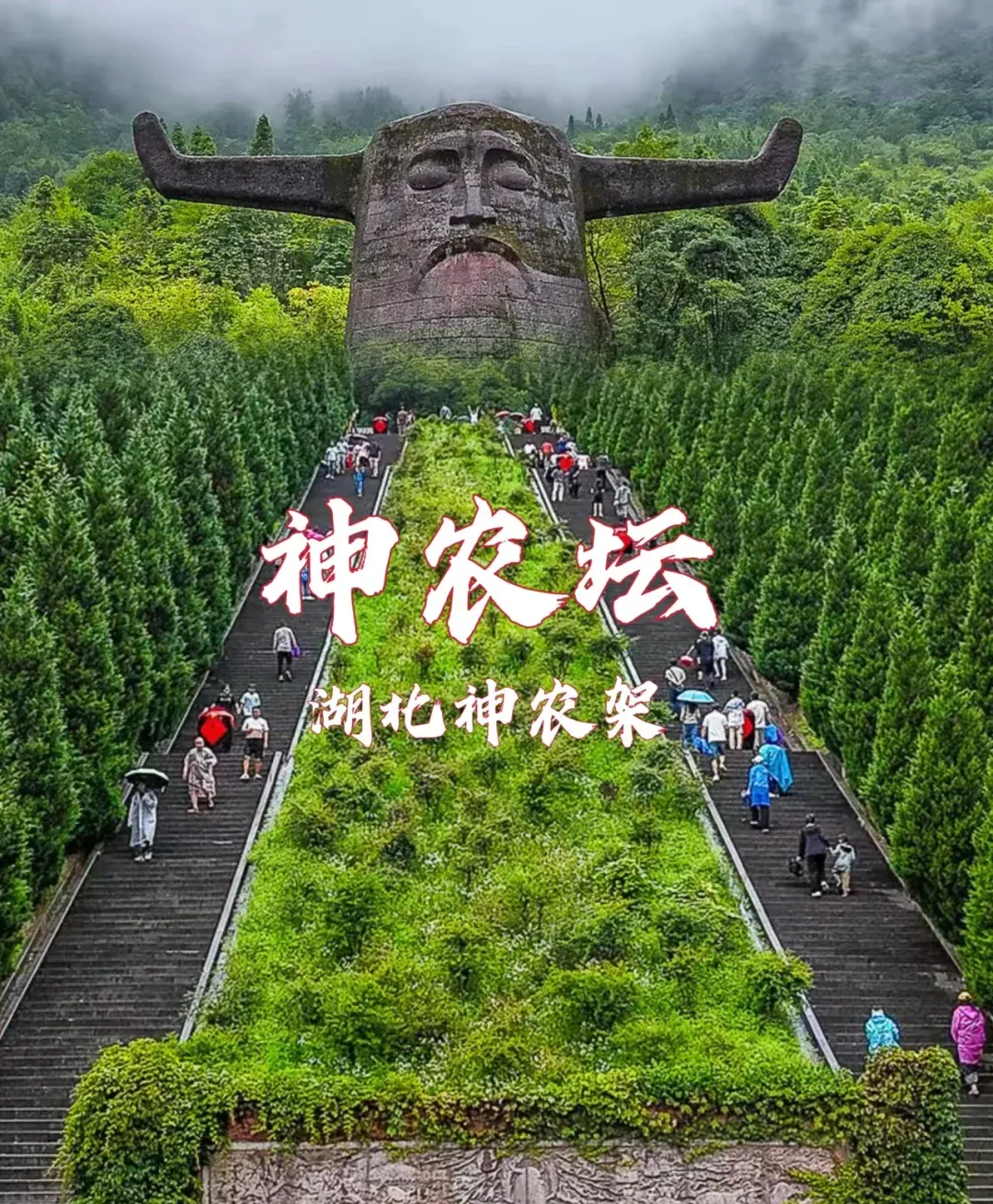 a539a6af395219aca232131d07f6e3e1-sz_3911529
