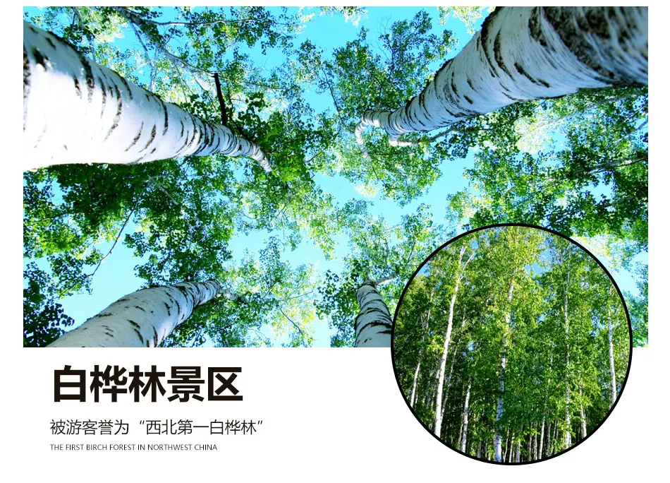 a597a81ffdfa94681fa6f36a10e5da45-sz_385145 a597a81ffdfa94681fa6f36a10e5da45-sz_385145
