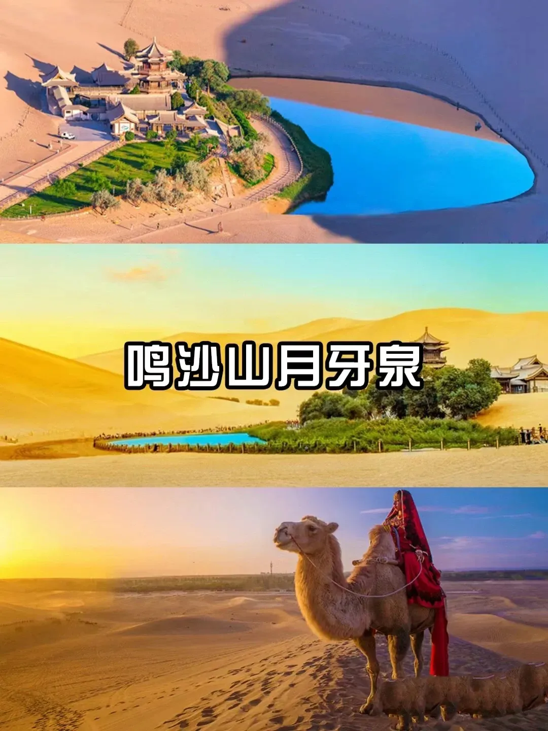 a5c9c81c81df9db2f2d6014e8b277fe4-sz_299743 a5c9c81c81df9db2f2d6014e8b277fe4-sz_299743
