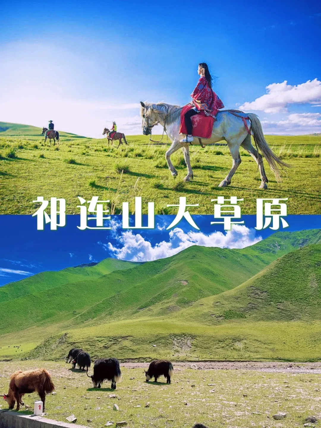 a616bc2034eb8fd2585c4ccadaafec56-sz_497829 a616bc2034eb8fd2585c4ccadaafec56-sz_497829