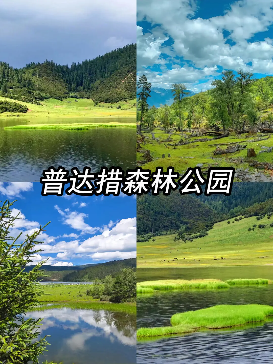 a8f76e3a635d8523d4da48e4661b3ecb-sz_398969-1 a8f76e3a635d8523d4da48e4661b3ecb-sz_398969-1