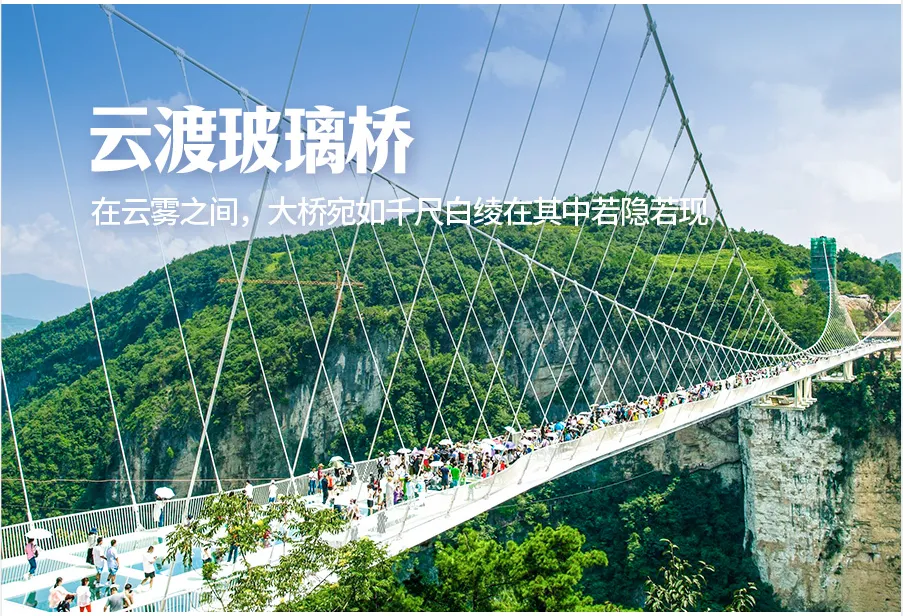a95864d428f6046f734a9cc1e1dc43a8-sz_1365222