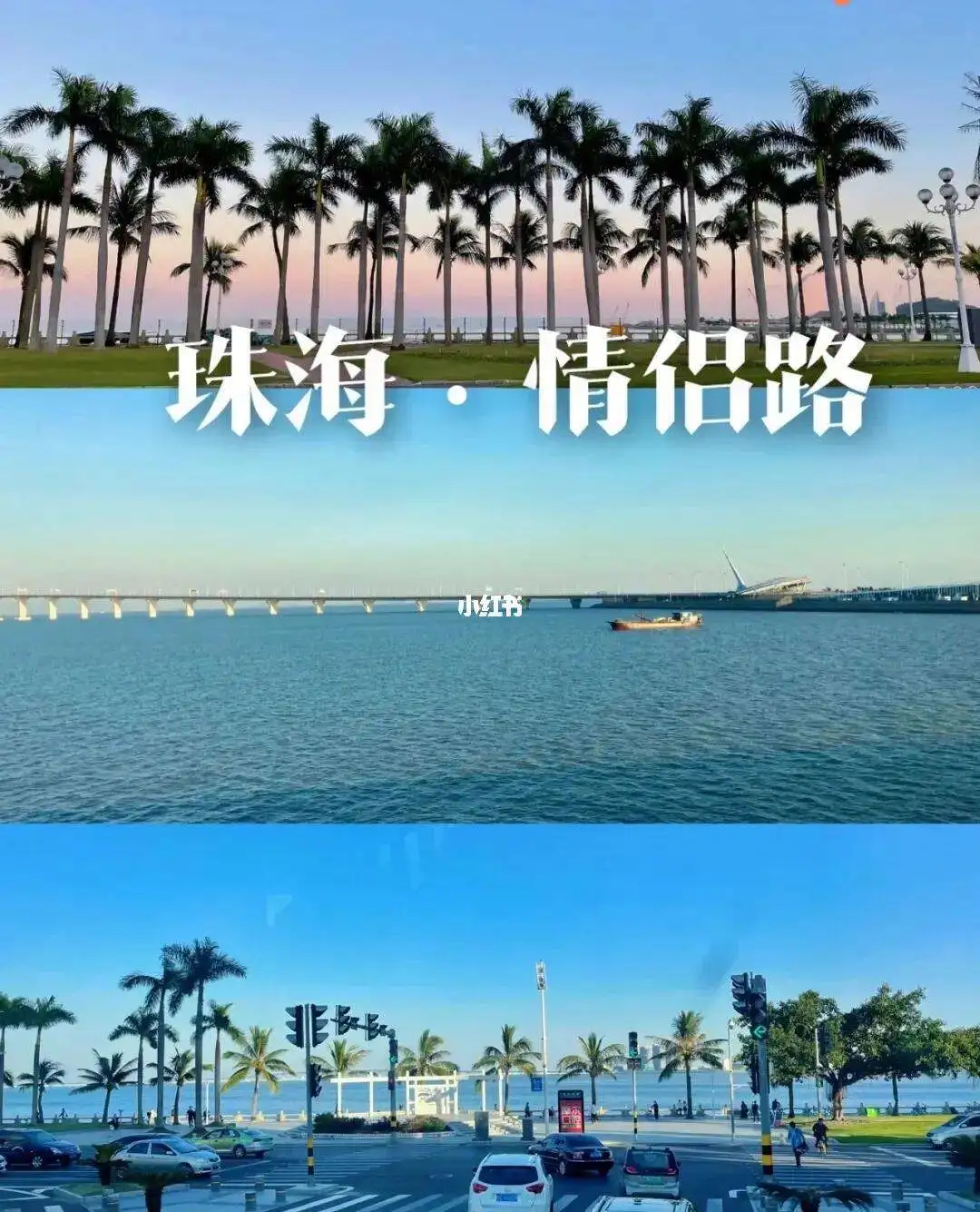 ad8b328c67d8622fcc0f03f05fca6305-sz_171678 ad8b328c67d8622fcc0f03f05fca6305-sz_171678
