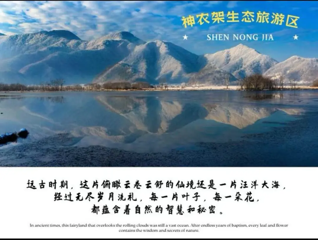 b481efacff85c58536b9ffe2564909f9-sz_137674