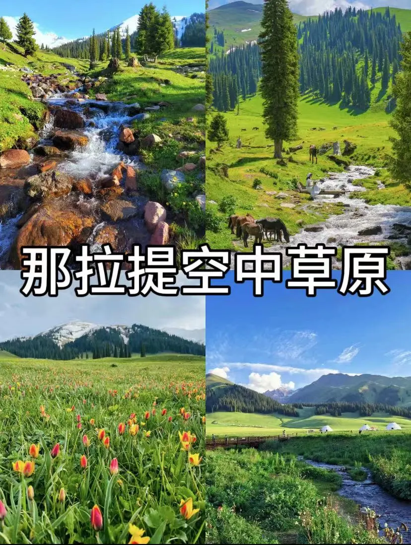 c3aa204f238bafc67495a35bc5f9ea05-sz_232620 c3aa204f238bafc67495a35bc5f9ea05-sz_232620