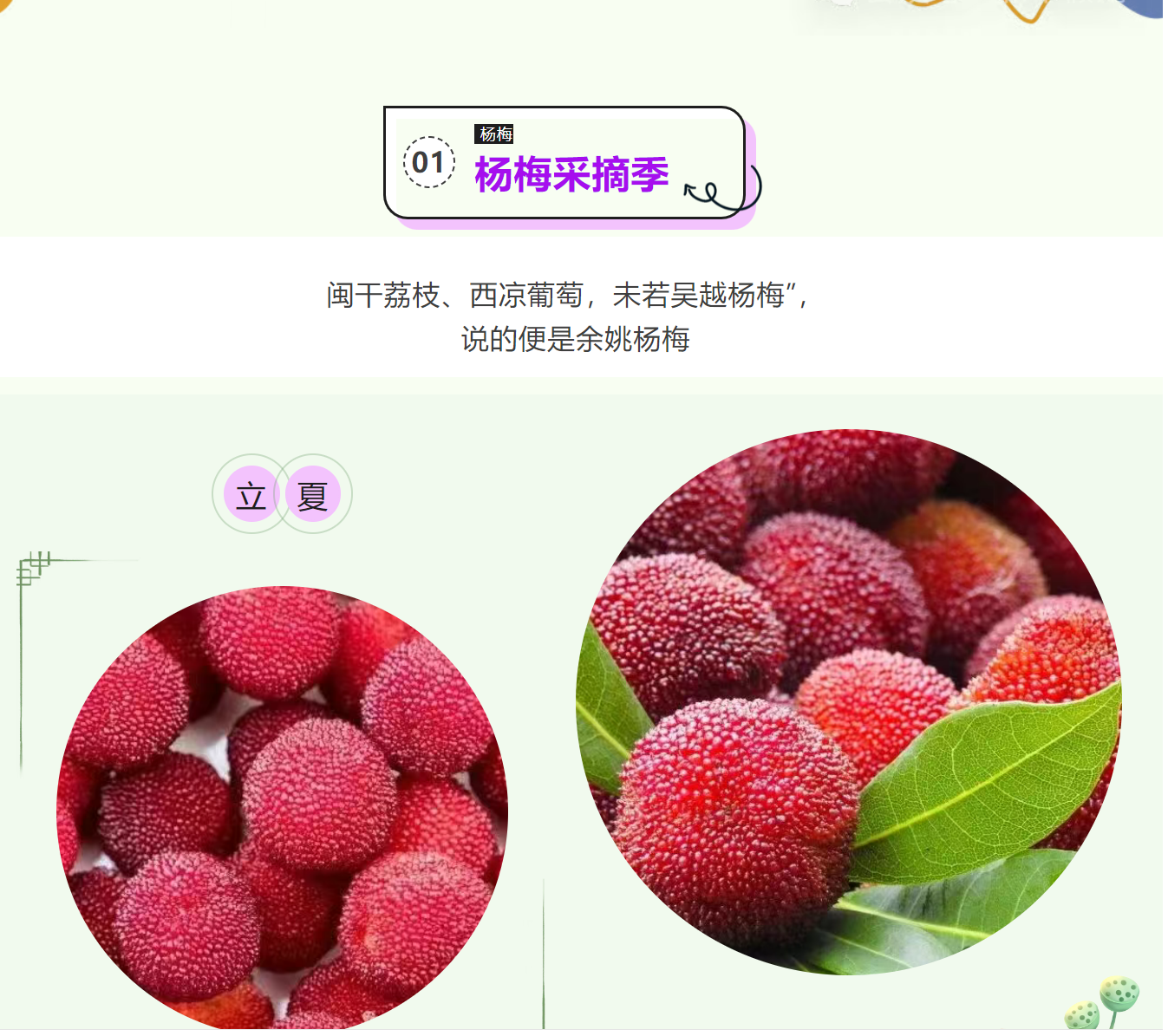 c86b97e87040667ba420e95e49c11a43