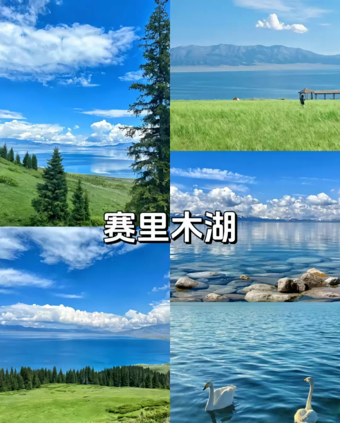 c9a45a755593253779b51f0d748518ef-sz_4181984 c9a45a755593253779b51f0d748518ef-sz_4181984
