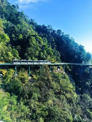 ca7f7996ef52215e9224f1bf2d9d41cb-sz_527738 ca7f7996ef52215e9224f1bf2d9d41cb-sz_527738