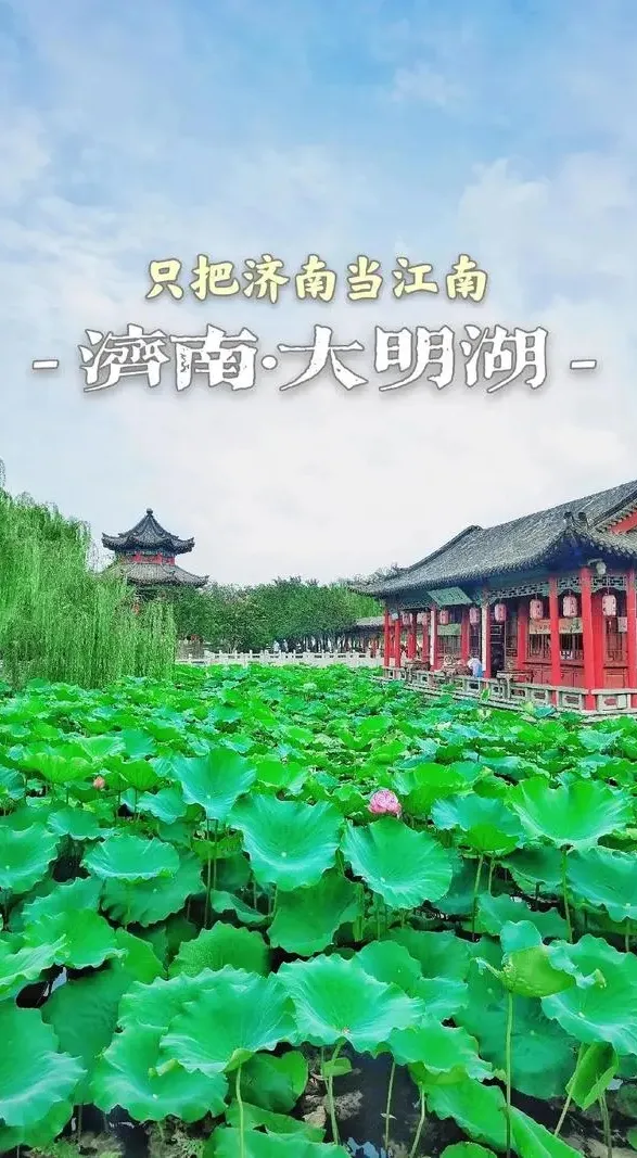 d2397062375a978c213fc4855002558f-sz_566081