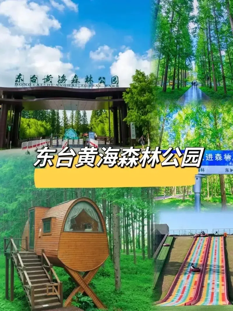 dd027bc47652b85427e6e913b0be36b8-sz_266171 dd027bc47652b85427e6e913b0be36b8-sz_266171