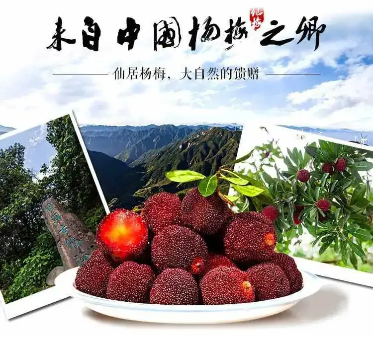 e4397d23ab5e2782c50954b1e64cec98-sz_1022808 e4397d23ab5e2782c50954b1e64cec98-sz_1022808