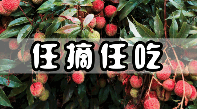 f856c2d497f1814dcccb909d82570930-sz_613609 f856c2d497f1814dcccb909d82570930-sz_613609