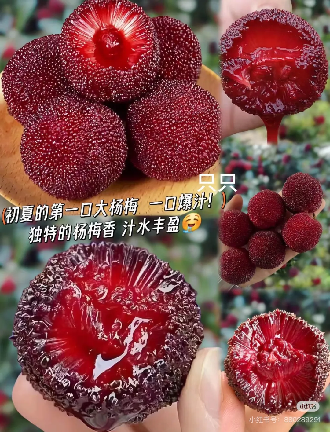 06fd47455cd0ca9fac9eb7039eb8d7ac-sz_732221-1 06fd47455cd0ca9fac9eb7039eb8d7ac-sz_732221-1