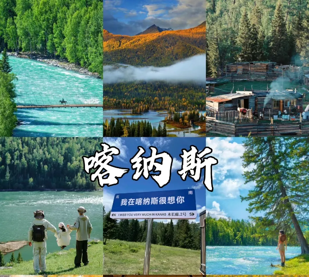 07bf05b94178434318715510bf9bdd31-sz_1270509 07bf05b94178434318715510bf9bdd31-sz_1270509