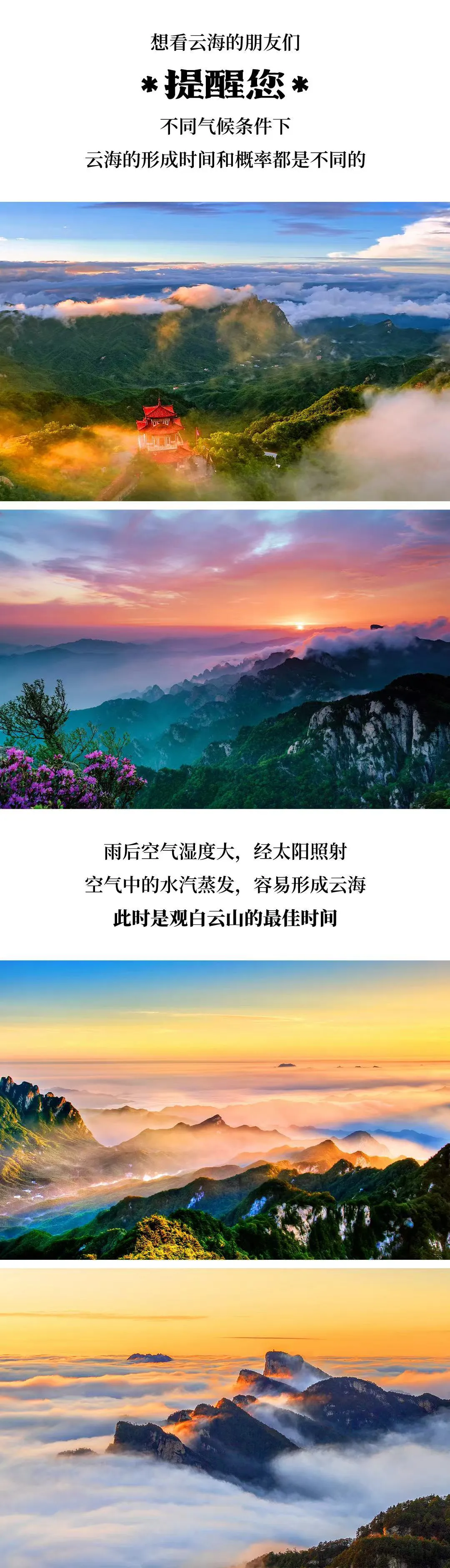 084262e228be3b8a02adbdd7902e1131-sz_3275369 084262e228be3b8a02adbdd7902e1131-sz_3275369
