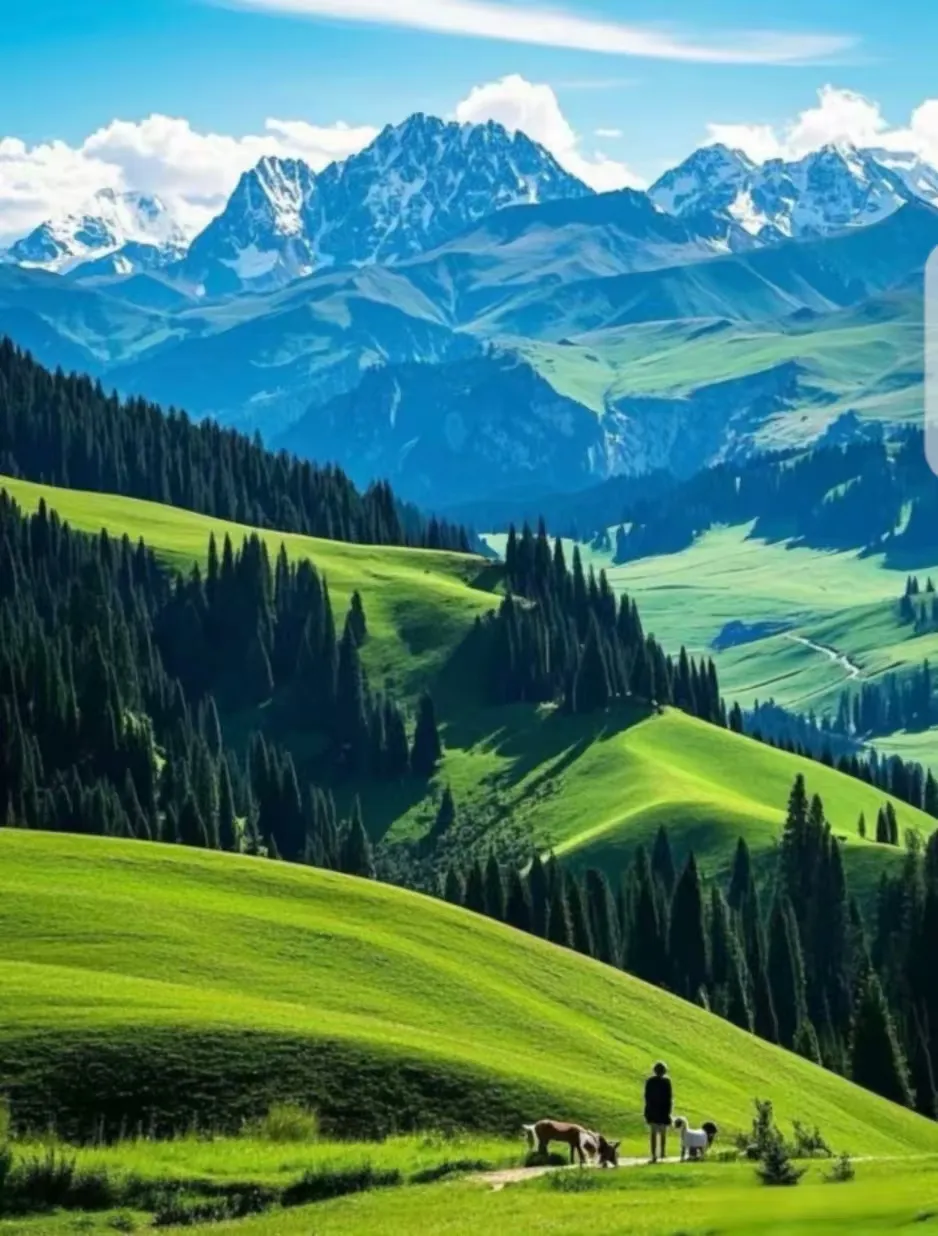 0ac4e11e23ffcee95c0b5457bc8ac409-sz_620386 0ac4e11e23ffcee95c0b5457bc8ac409-sz_620386