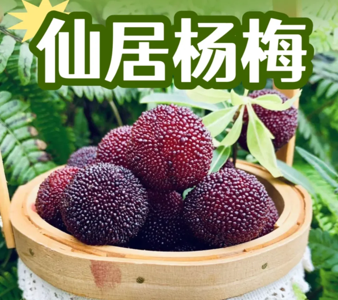 0eb248e5c3747a604b1f89abaa31e3f9-sz_2881611 0eb248e5c3747a604b1f89abaa31e3f9-sz_2881611