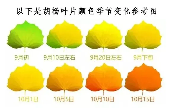 113ec7315926154a0b3a34b1d5b4fe83-sz_27906 113ec7315926154a0b3a34b1d5b4fe83-sz_27906