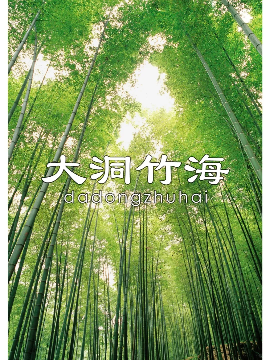 116c3c1780ab557709d95ba288c688f8-sz_743874