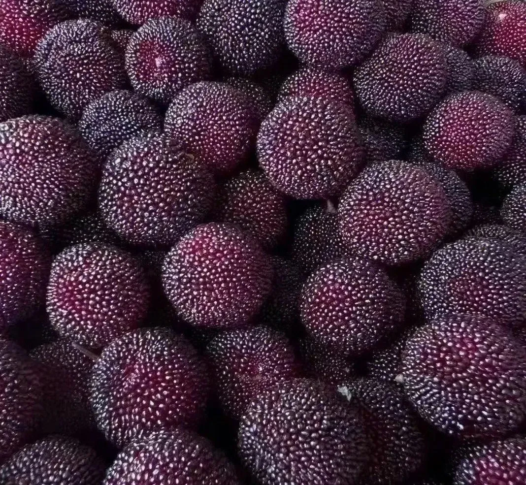 1265ae117a21f1efe082fefe99e6293f-sz_2994399