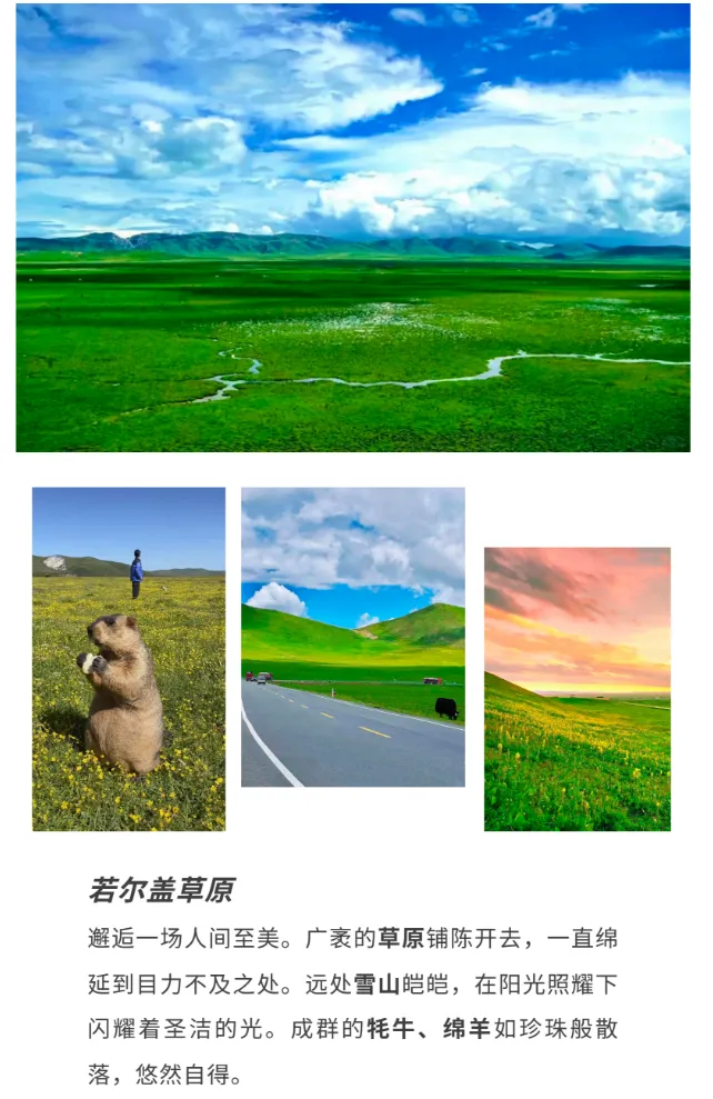 1532ae2c6da116ac3ddb5561ec9c9430-sz_951516 1532ae2c6da116ac3ddb5561ec9c9430-sz_951516